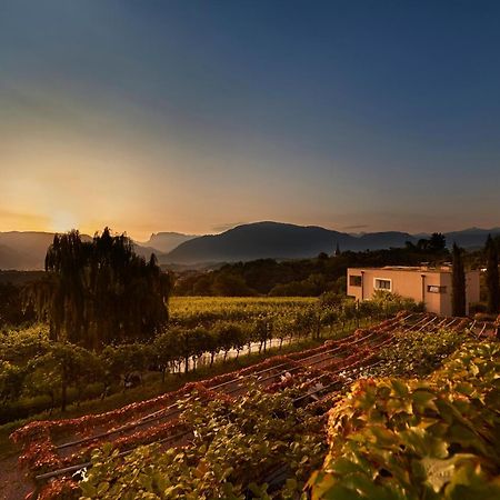 阿皮亚诺苏拉斯特拉达Weingut Stuck公寓 外观 照片