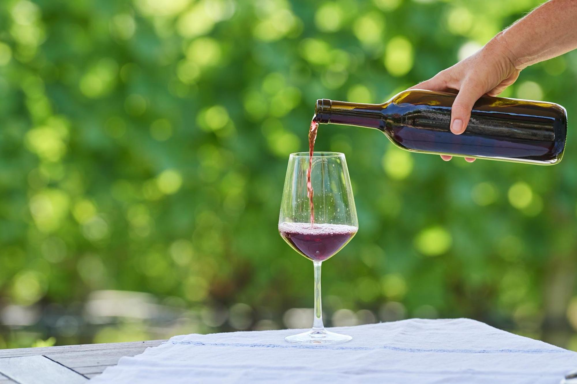 阿皮亚诺苏拉斯特拉达Weingut Stuck公寓 外观 照片