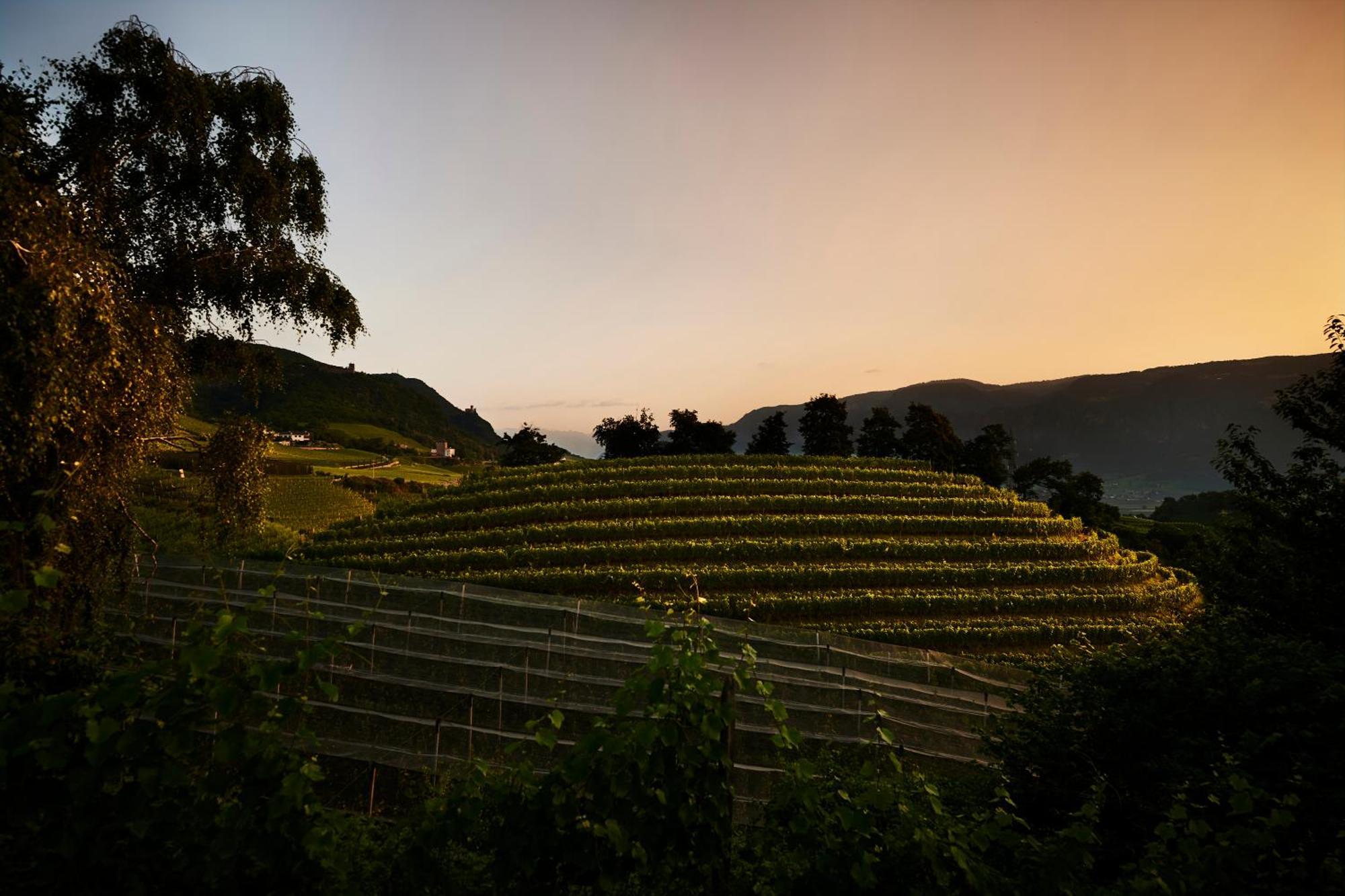 阿皮亚诺苏拉斯特拉达Weingut Stuck公寓 外观 照片